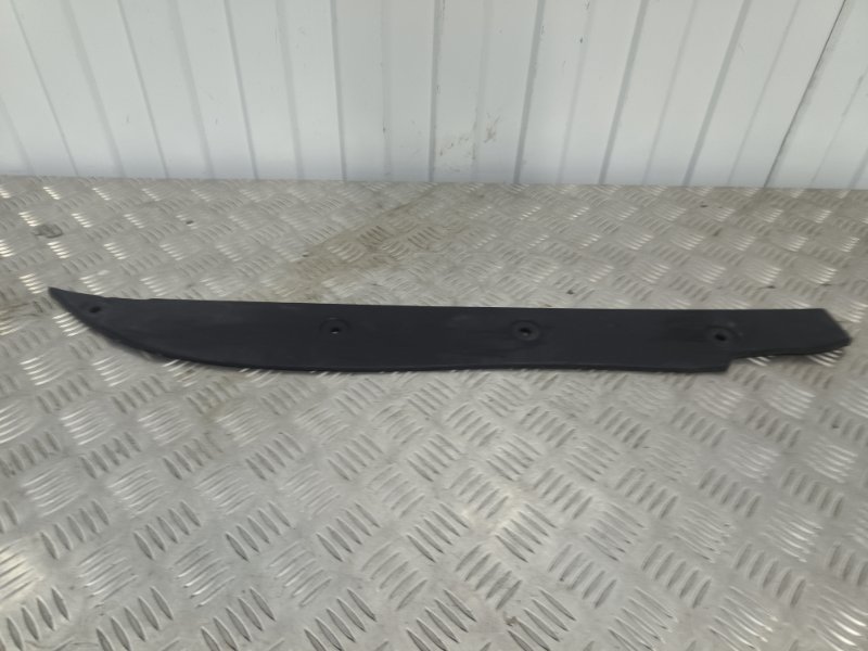 Пыльник крыла, 1000 рублей, Балашиха