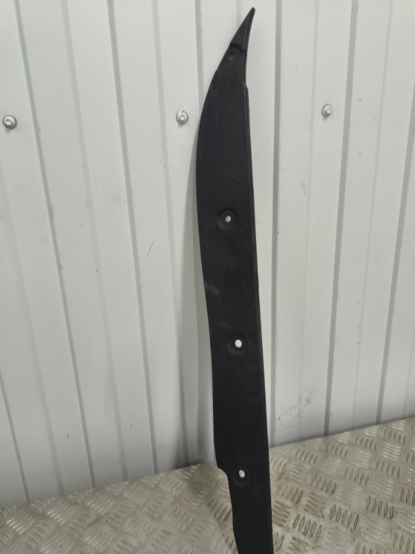 Пыльник крыла, 1000 рублей, Балашиха