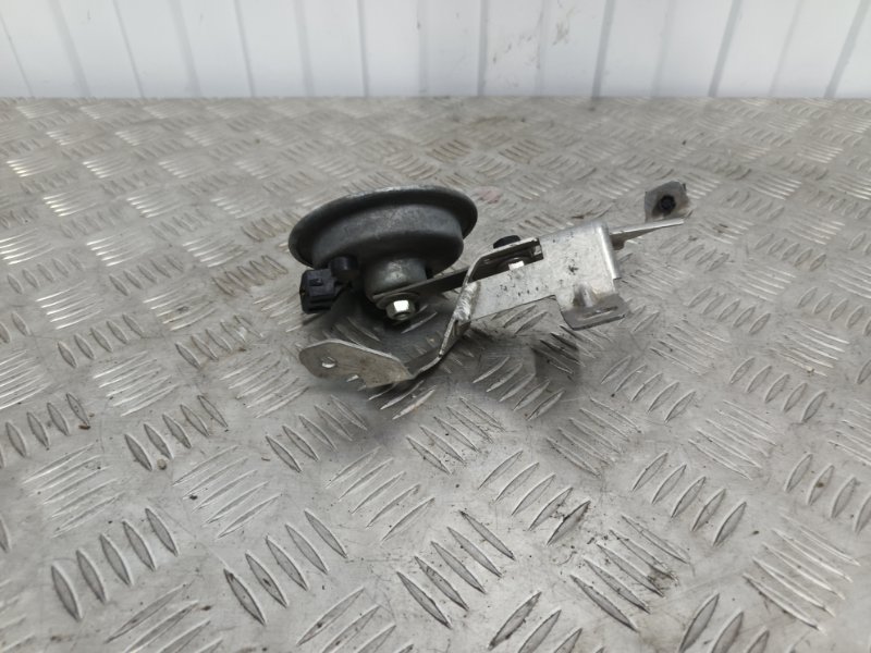 Звуковой сигнал, 1000 рублей, Балашиха