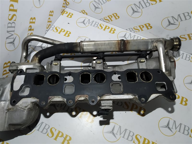 коллектор впускной, 3270 рублей, Санкт-Петербург