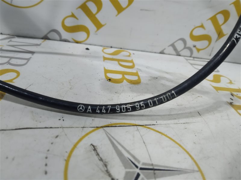 кулак, 10730 рублей, Санкт-Петербург