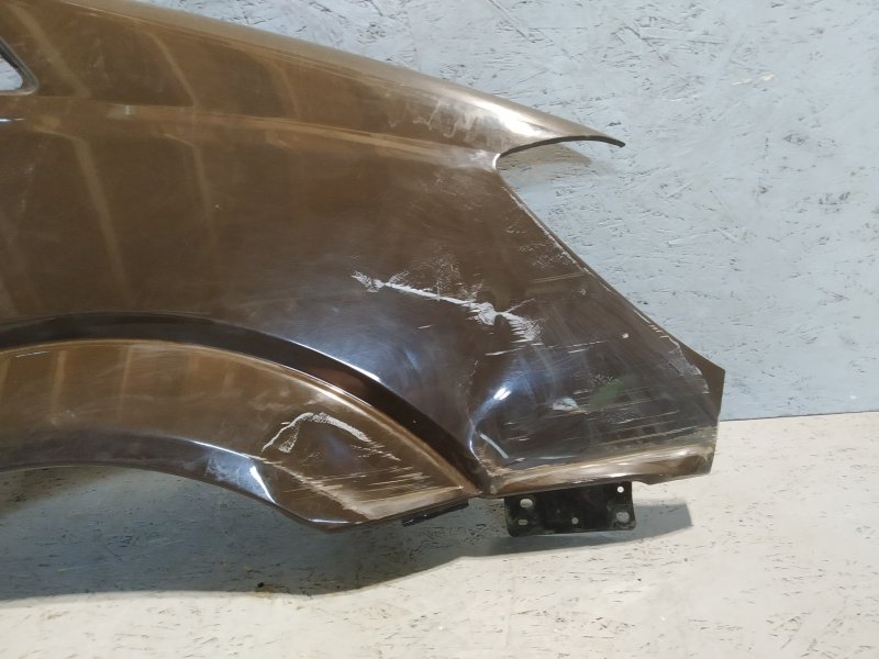 крыло, 1980 рублей, Санкт-Петербург