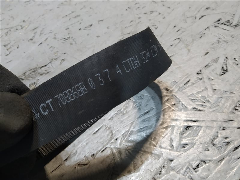 ремень ЭУР, 2905 рублей, Санкт-Петербург