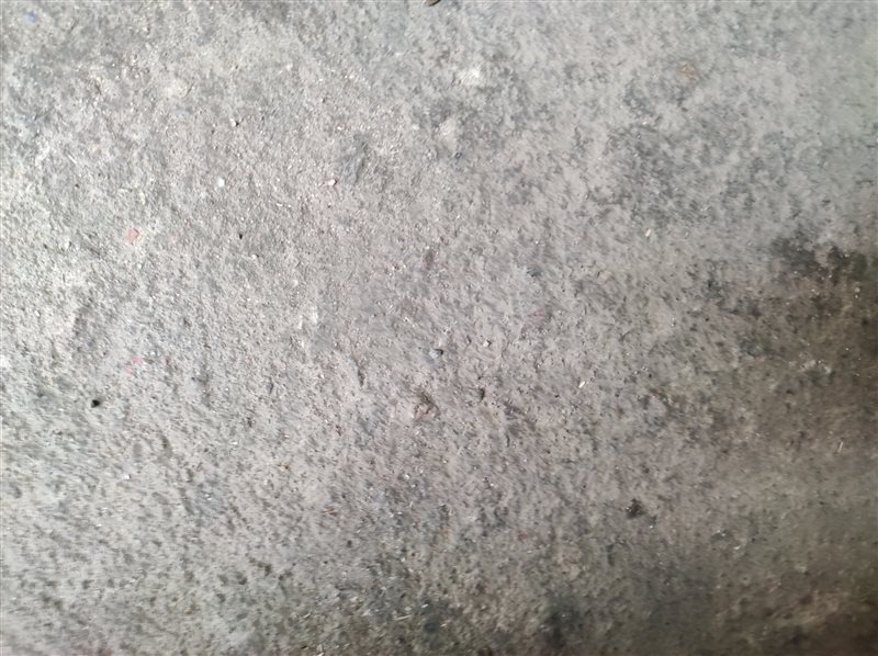 жабо, 830 рублей, Санкт-Петербург