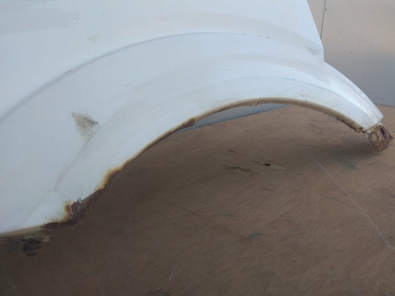 крыло, 2450 рублей, Санкт-Петербург