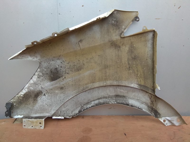 крыло, 2450 рублей, Санкт-Петербург