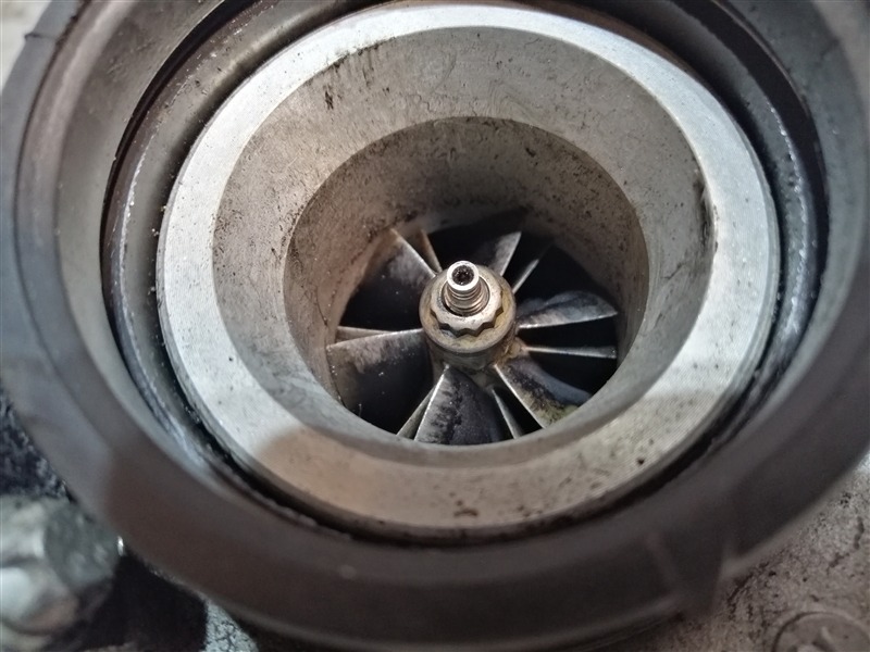 турбина, 4980 рублей, Санкт-Петербург