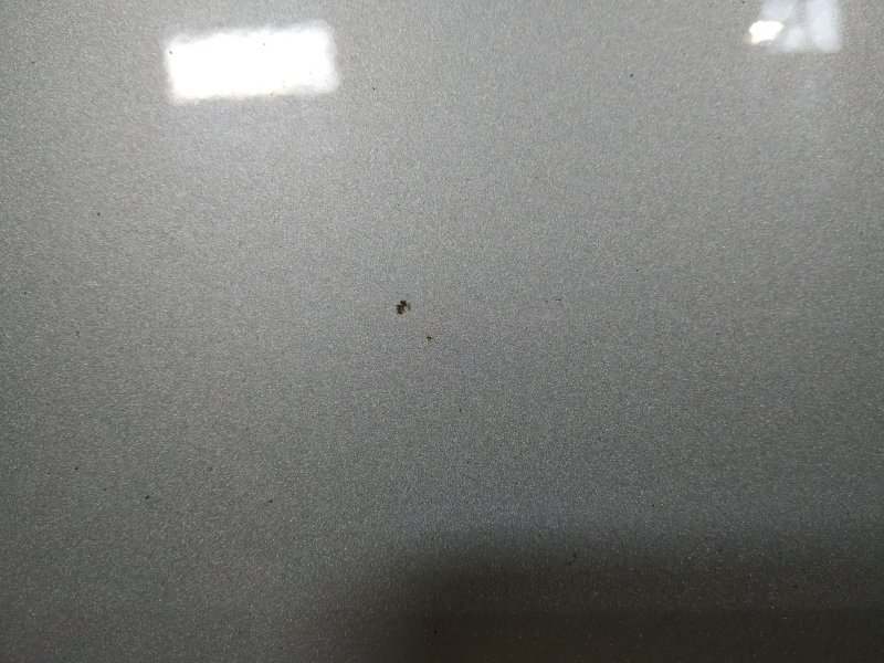 дверь, 8265 рублей, Санкт-Петербург