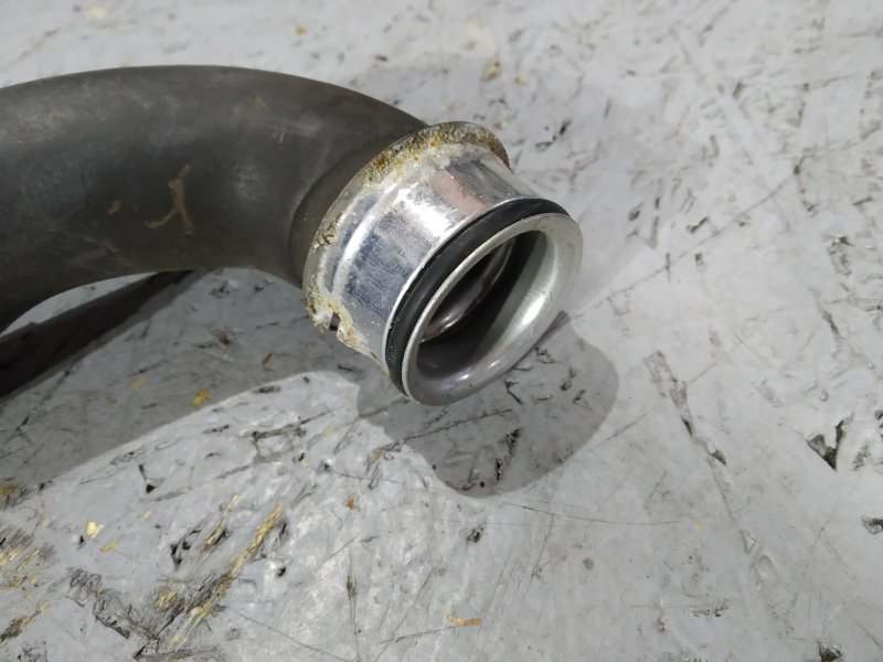 патрубок радиатора, 580 рублей, Санкт-Петербург