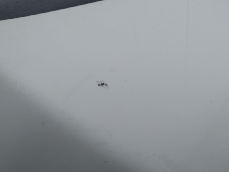 капот, 43920 рублей, Санкт-Петербург