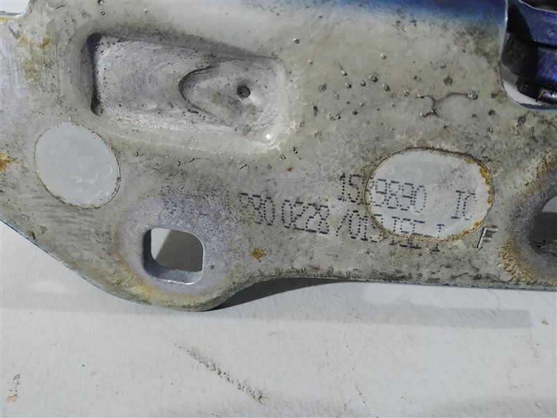 петля капота, 1240 рублей, Санкт-Петербург