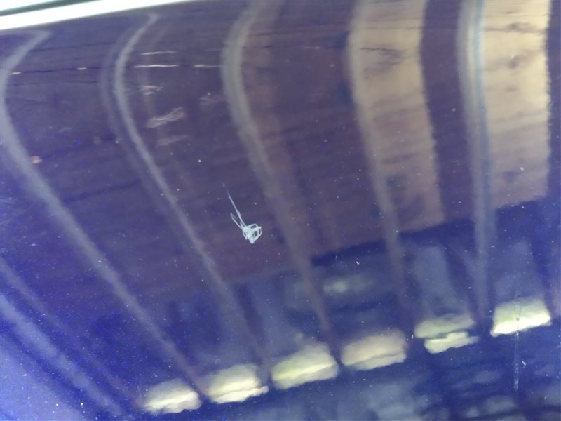 дверь, 6585 рублей, Санкт-Петербург