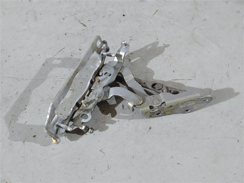 петля капота, 1240 рублей, Санкт-Петербург