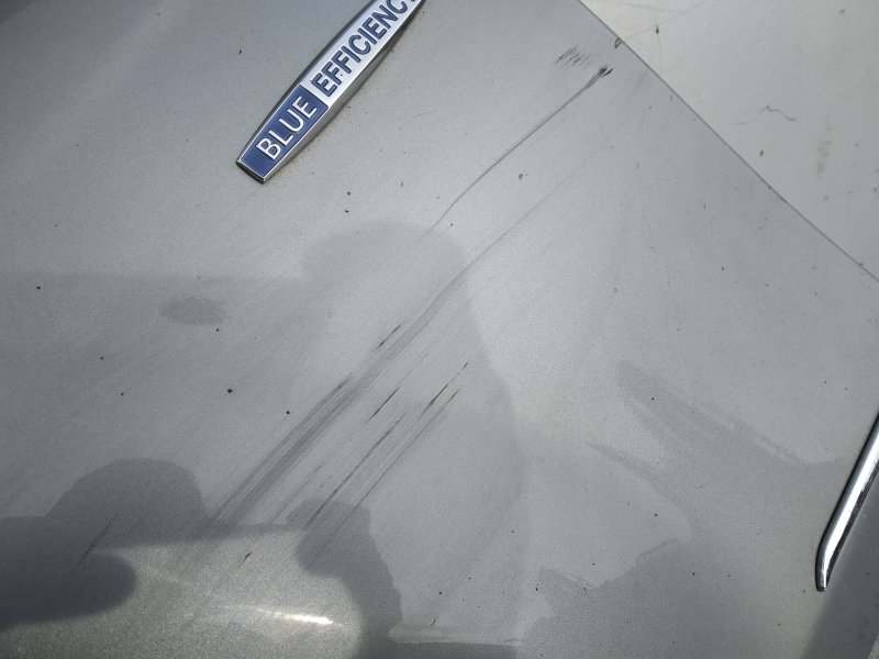 крыло, 8790 рублей, Санкт-Петербург