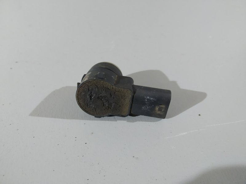 парктроник, 1310 рублей, Санкт-Петербург