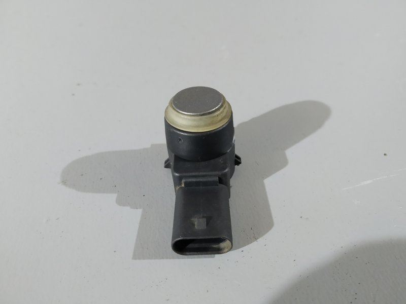 парктроник, 1310 рублей, Санкт-Петербург