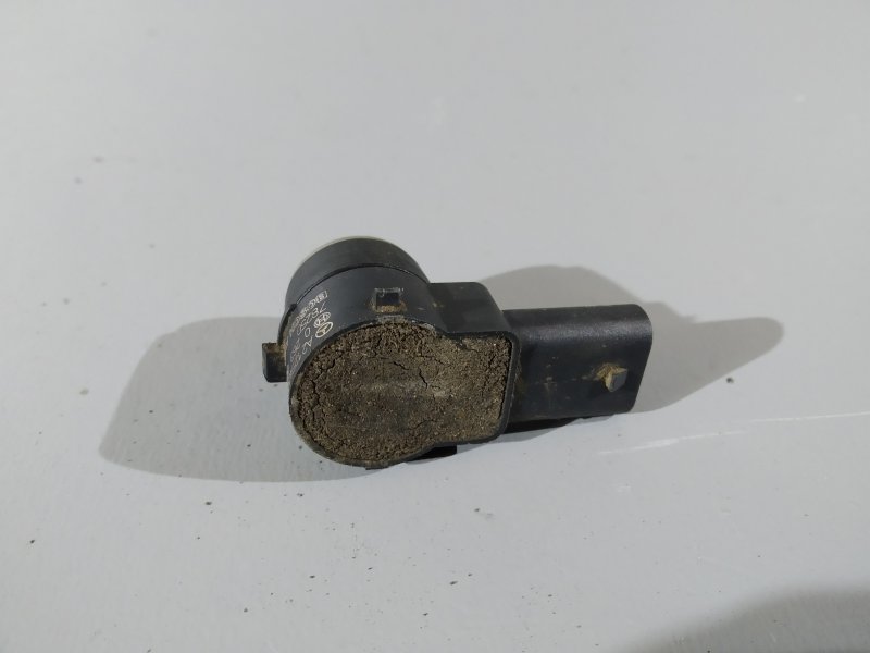 парктроник, 1310 рублей, Санкт-Петербург