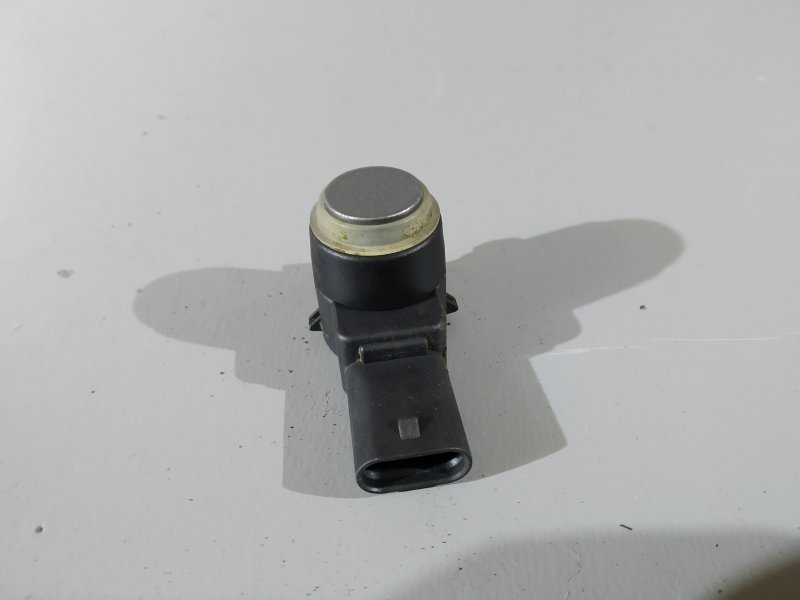 парктроник, 1310 рублей, Санкт-Петербург