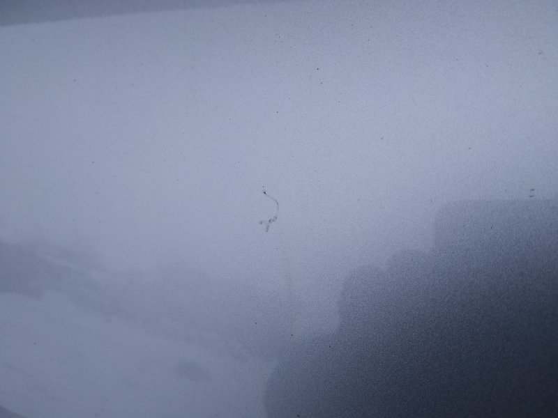 дверь, 6945 рублей, Санкт-Петербург