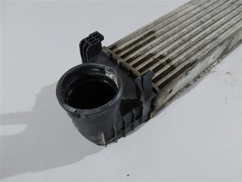 интеркулер, 2010 рублей, Санкт-Петербург