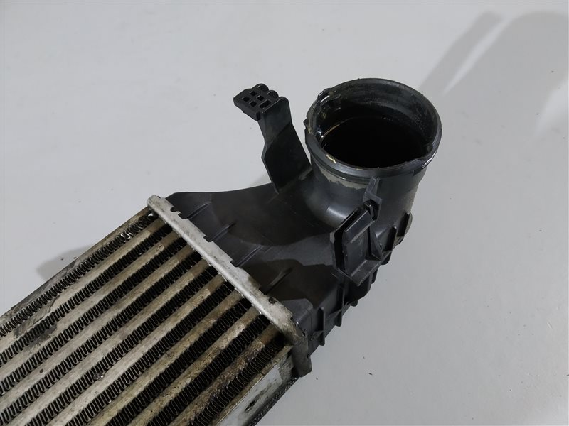 интеркулер, 2010 рублей, Санкт-Петербург