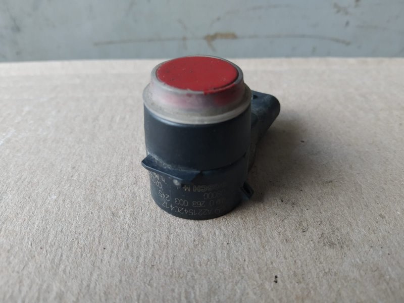 парктроник, 1010 рублей, Санкт-Петербург