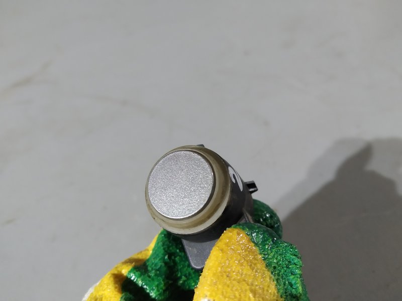 парктроник, 1365 рублей, Санкт-Петербург