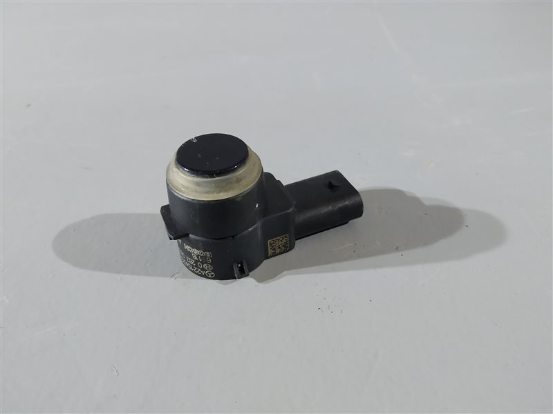 парктроник, 1095 рублей, Санкт-Петербург