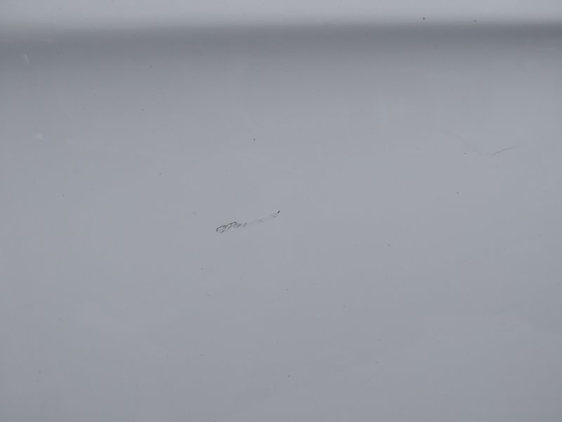 дверь, 33050 рублей, Санкт-Петербург