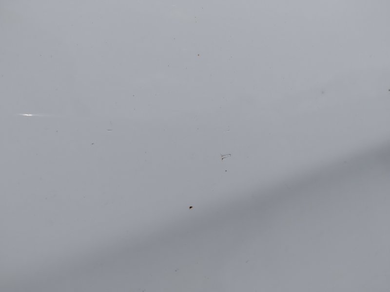 дверь, 33050 рублей, Санкт-Петербург