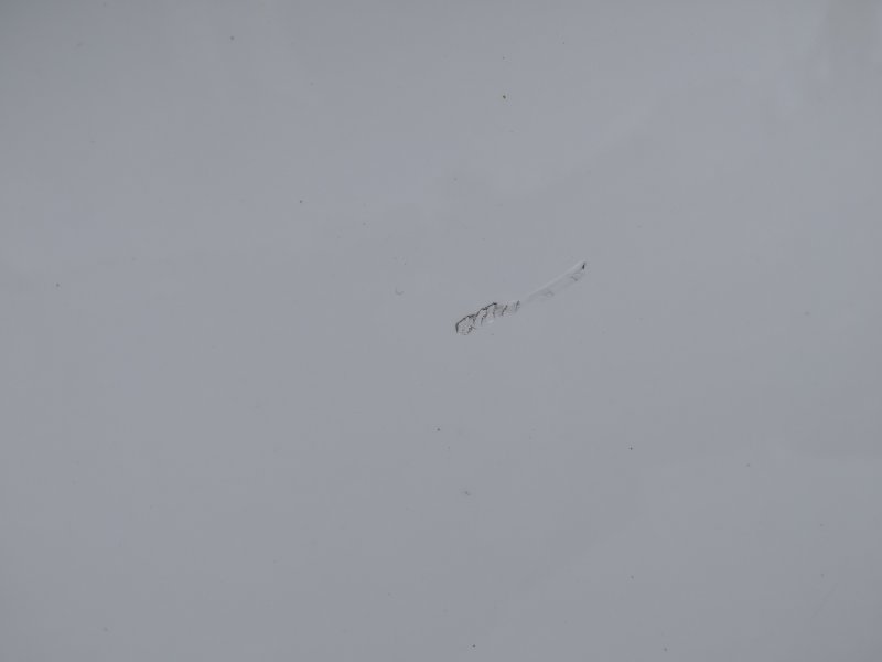 дверь, 33050 рублей, Санкт-Петербург