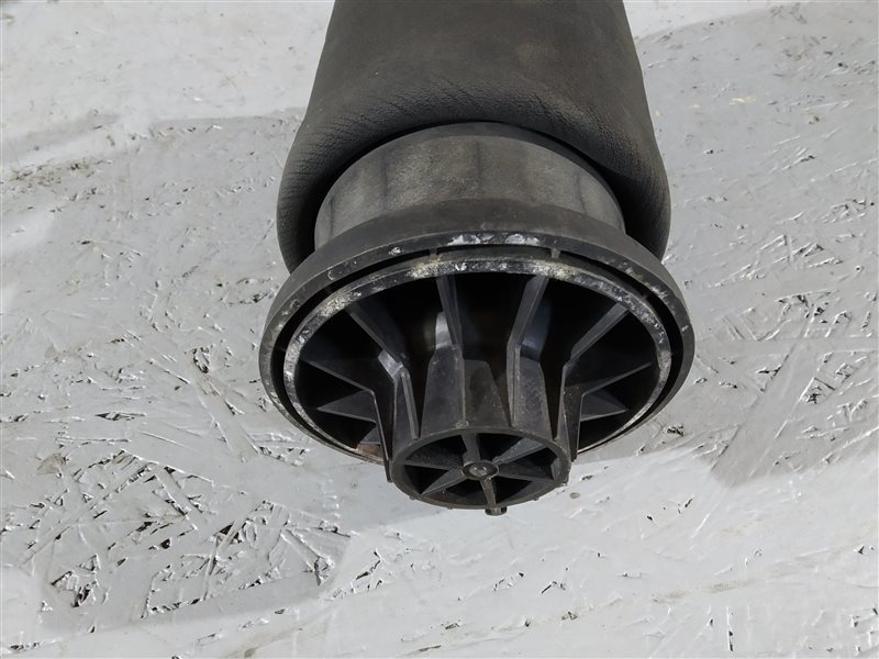 пневмобаллон, 2905 рублей, Санкт-Петербург