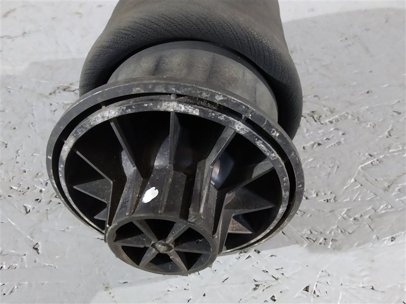 пневмобаллон, 2905 рублей, Санкт-Петербург