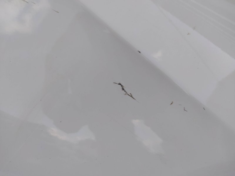 крыло, 17270 рублей, Санкт-Петербург