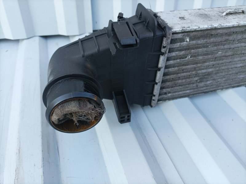 интеркулер, 5620 рублей, Санкт-Петербург