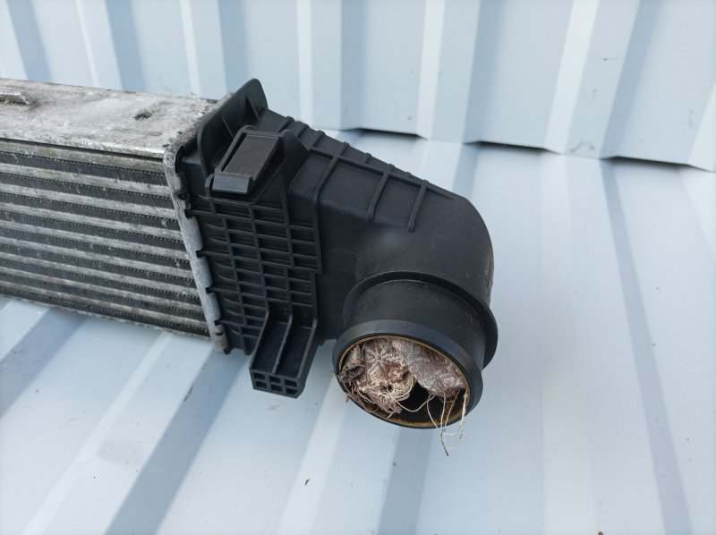 интеркулер, 5620 рублей, Санкт-Петербург