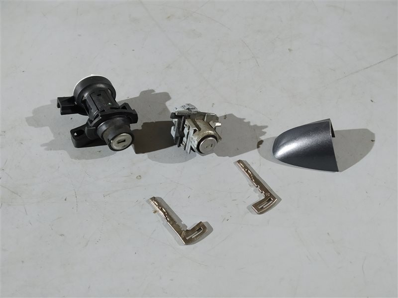 личинка замка, 8835 рублей, Санкт-Петербург