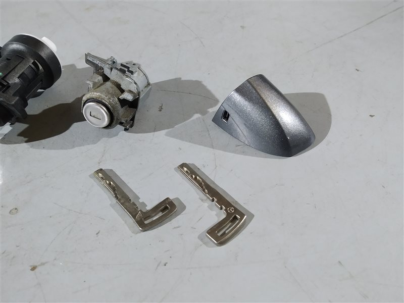 личинка замка, 8835 рублей, Санкт-Петербург