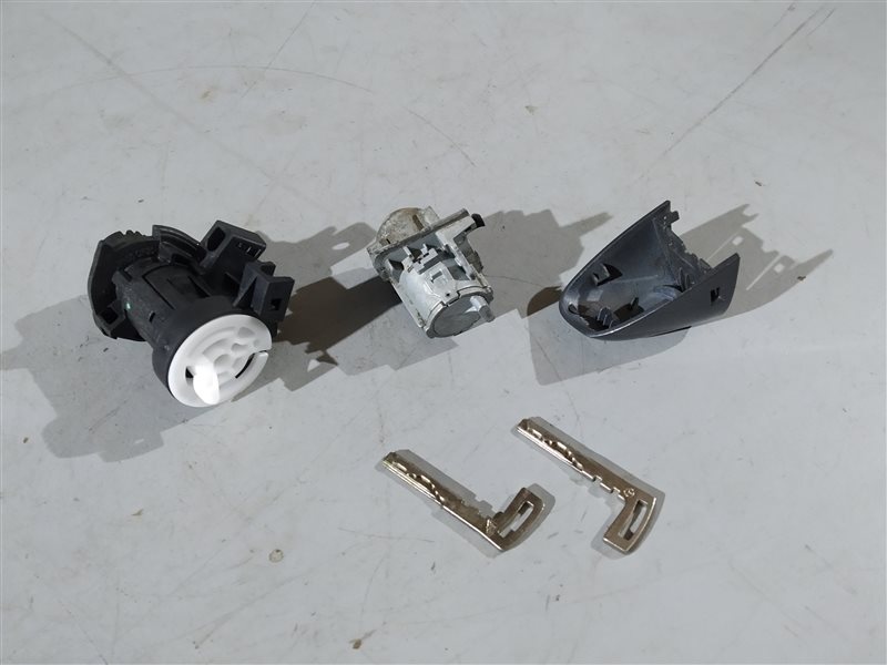 личинка замка, 8835 рублей, Санкт-Петербург