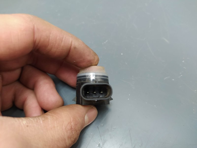 парктроник, 1425 рублей, Санкт-Петербург