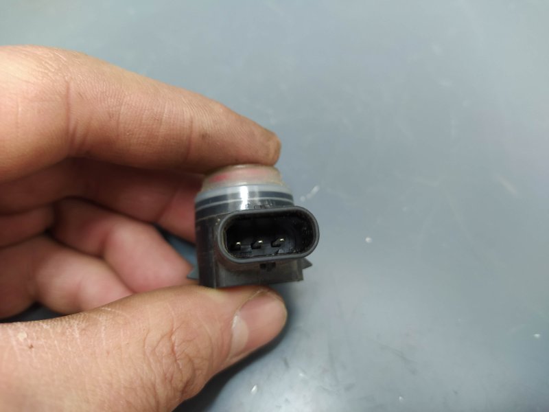 парктроник, 1425 рублей, Санкт-Петербург