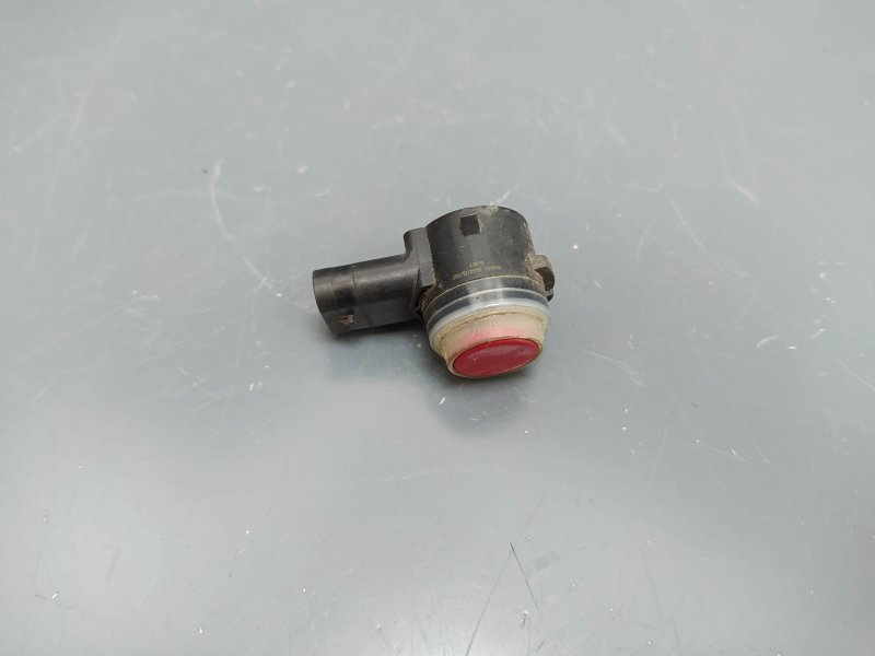 парктроник, 1425 рублей, Санкт-Петербург