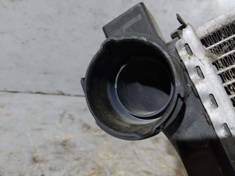 радиатор основной, 3365 рублей, Санкт-Петербург