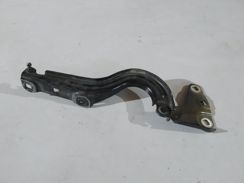 петля капота, 6040 рублей, Санкт-Петербург