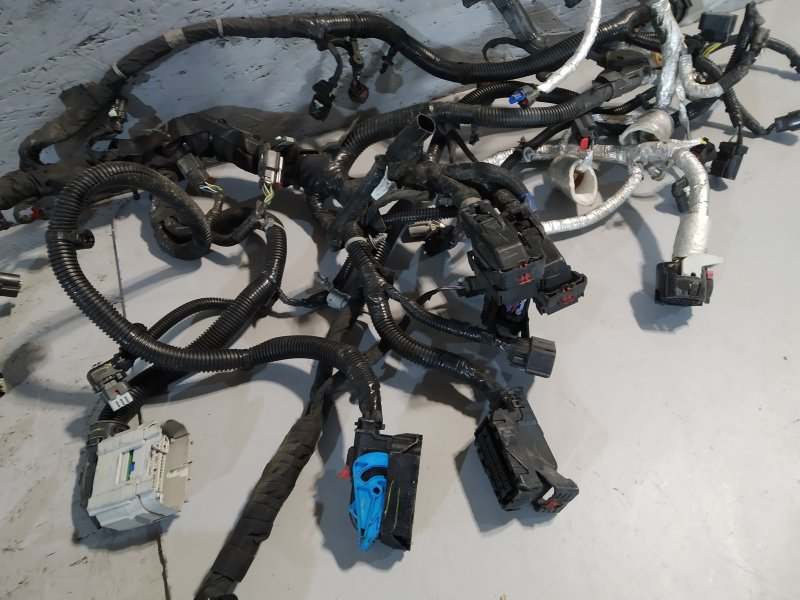 проводка двигателя, 33355 рублей, Санкт-Петербург