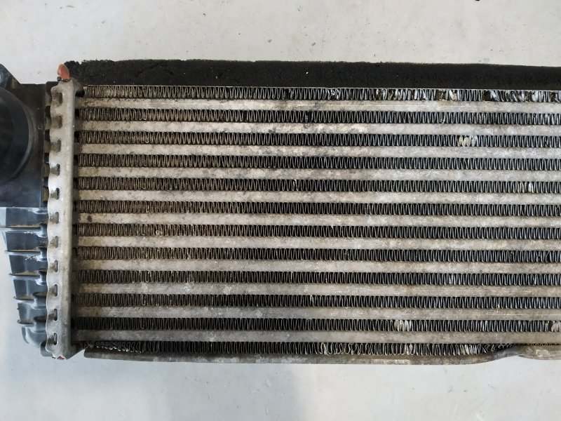 интеркулер, 3040 рублей, Санкт-Петербург