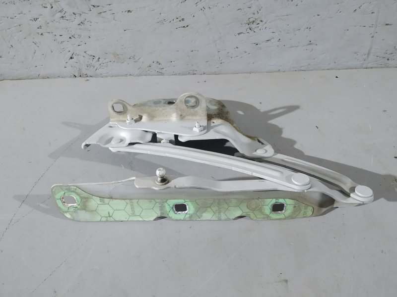 петля капота, 3650 рублей, Санкт-Петербург