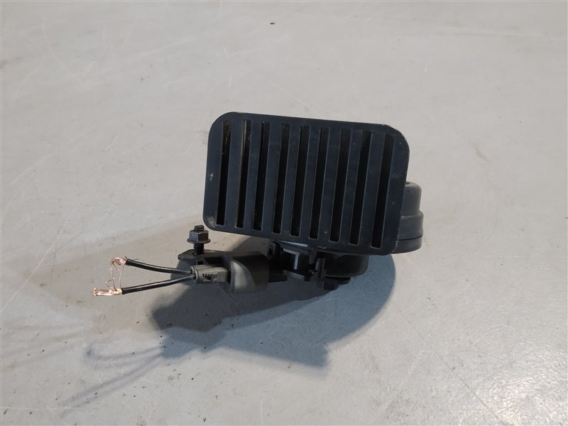 звуковой сигнал, 1925 рублей, Санкт-Петербург