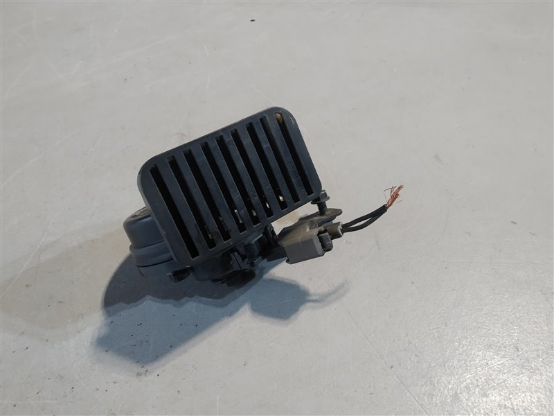 звуковой сигнал, 1925 рублей, Санкт-Петербург