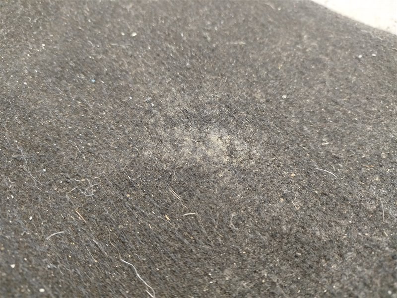 пол багажника, 11500 рублей, Санкт-Петербург